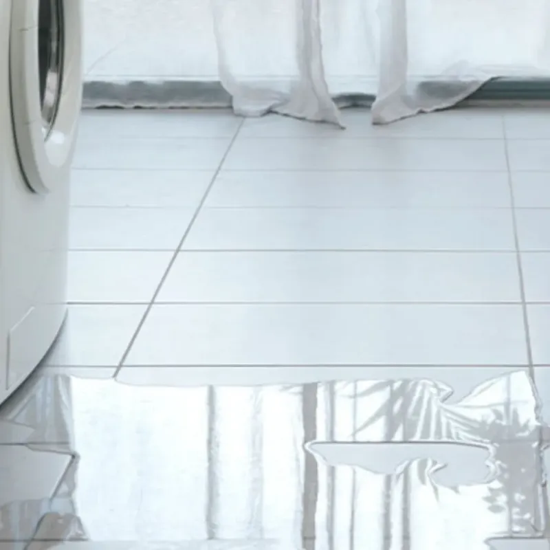 Appliance Leak Cleanup in Lincoln City, OR